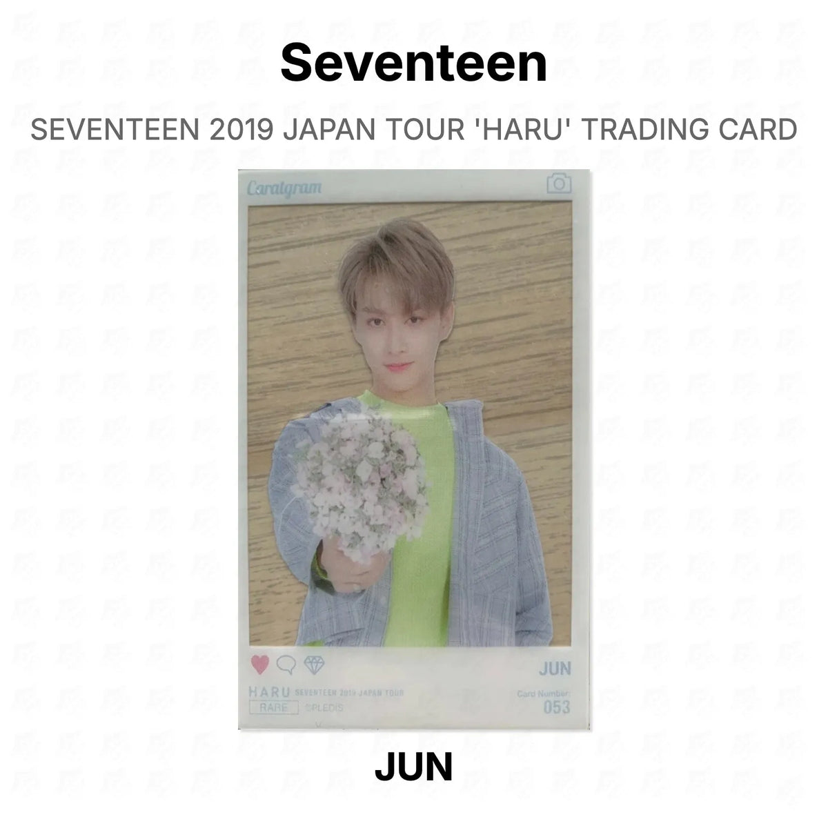 Seventeen 2019 JAPAN TOUR 'HARU' TRADING CARD Official Photocard