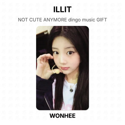 ILLIT NOT CUTE ANYMORE dingo music GIFT Official Photocard