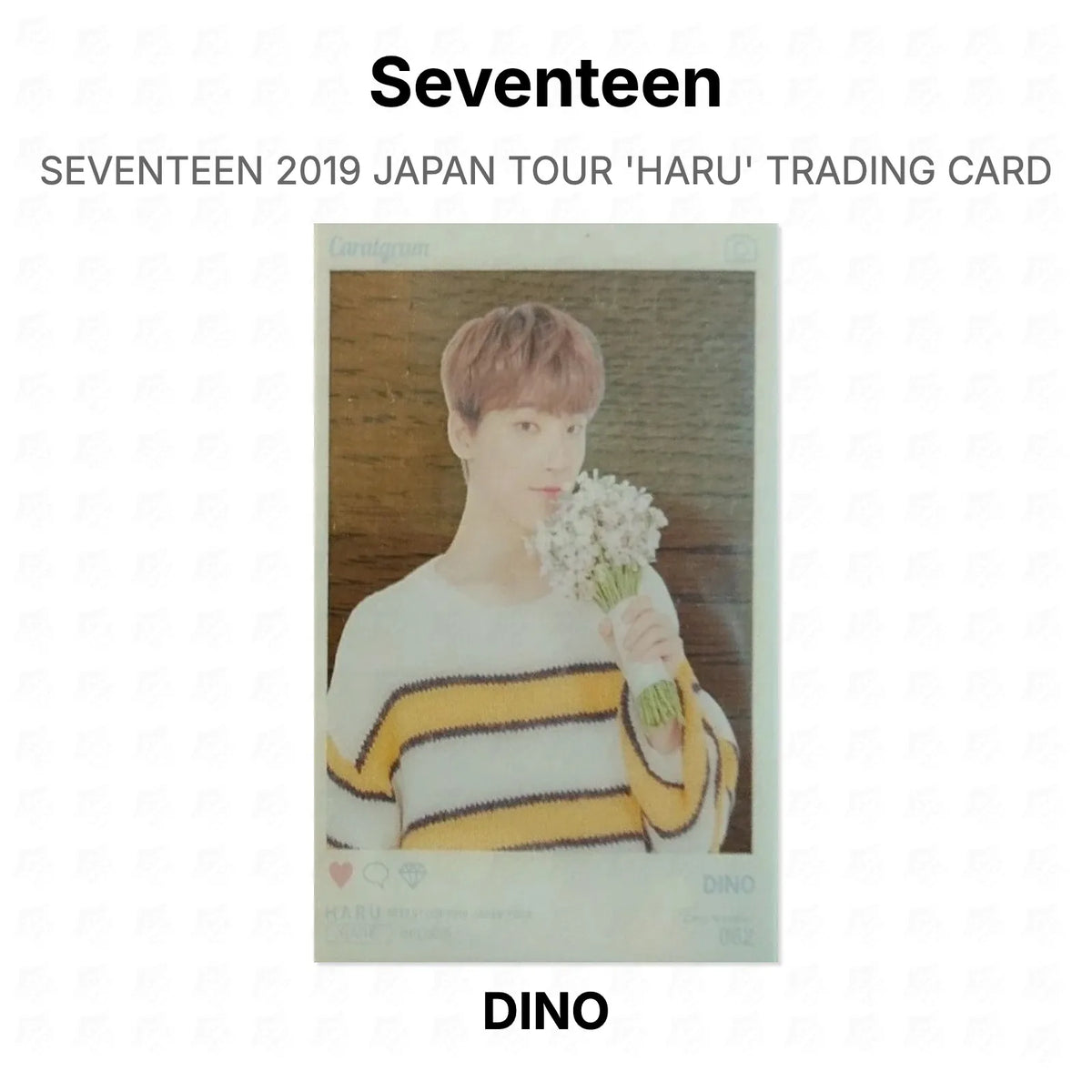 Seventeen 2019 JAPAN TOUR 'HARU' TRADING CARD Official Photocard