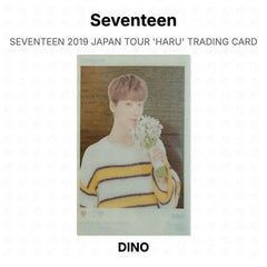 DINO 07