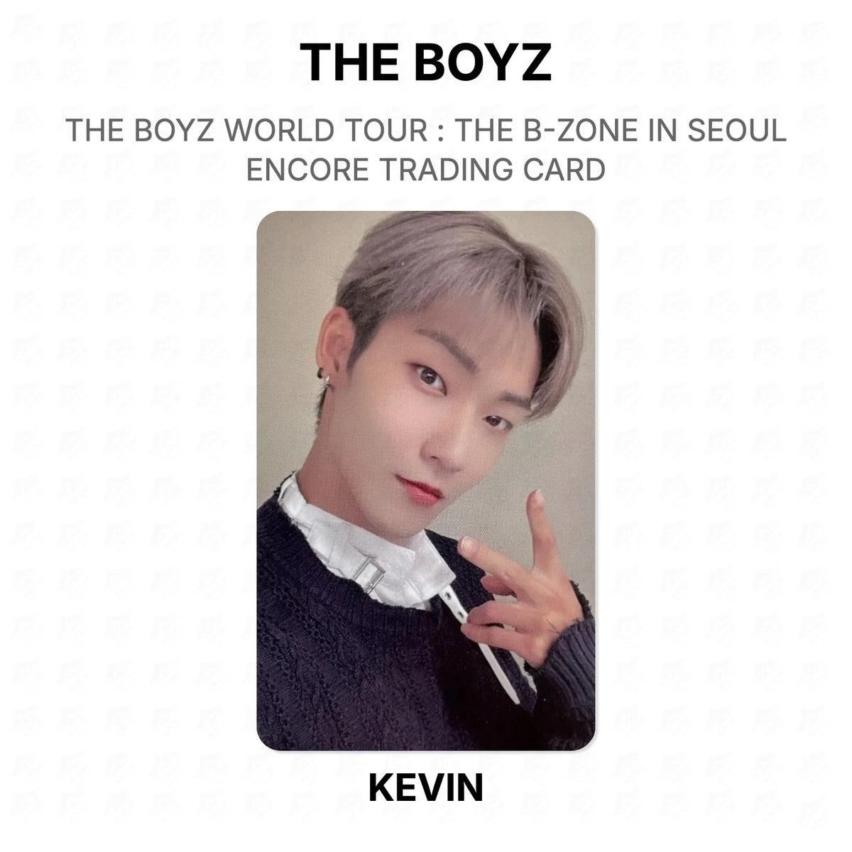 THE BOYZ WORLD TOUR : THE B-ZONE IN SEOUL ENCORE TRADING CARD Official Photocard