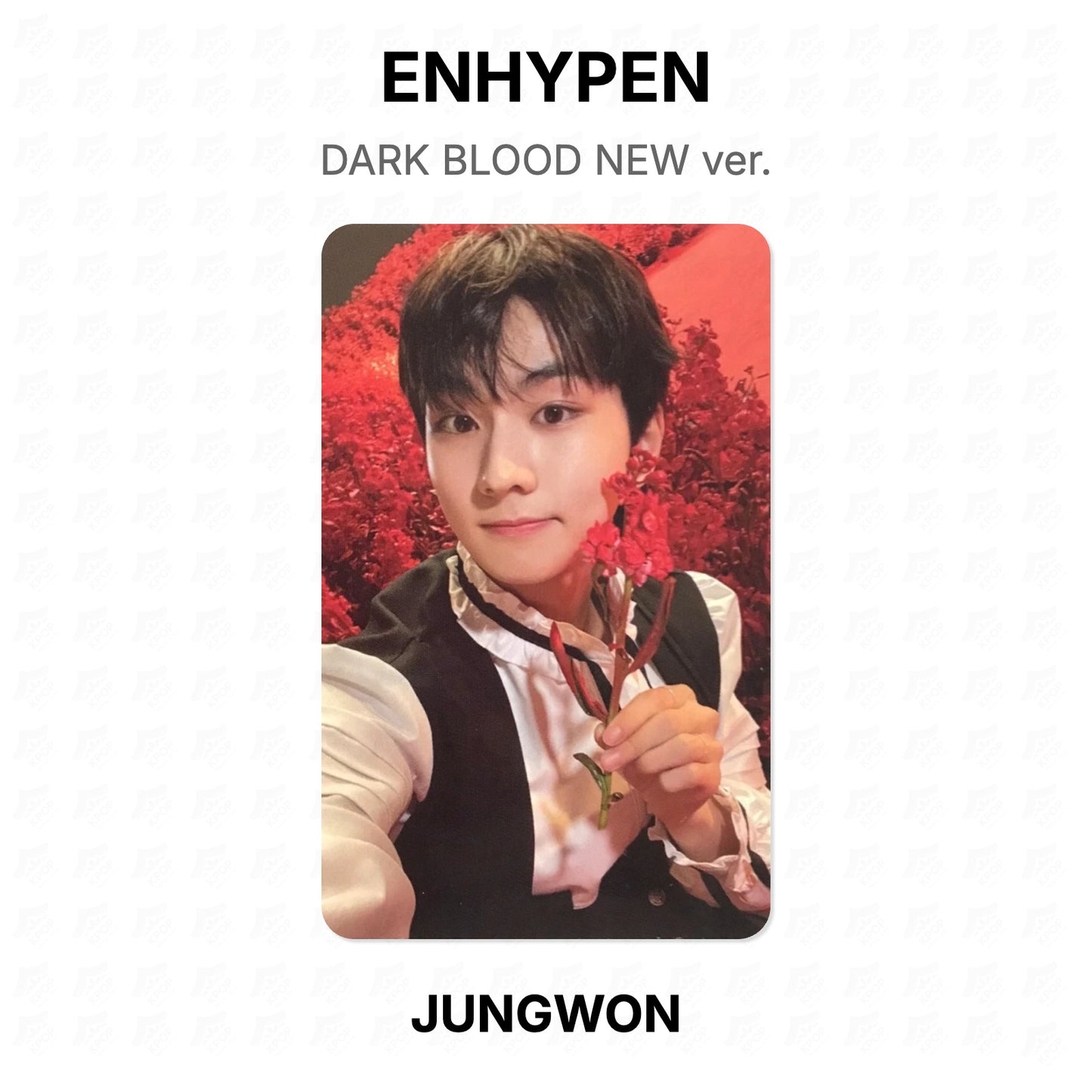 ENHYPEN DARK BLOOD NEW ver. Official Photocard