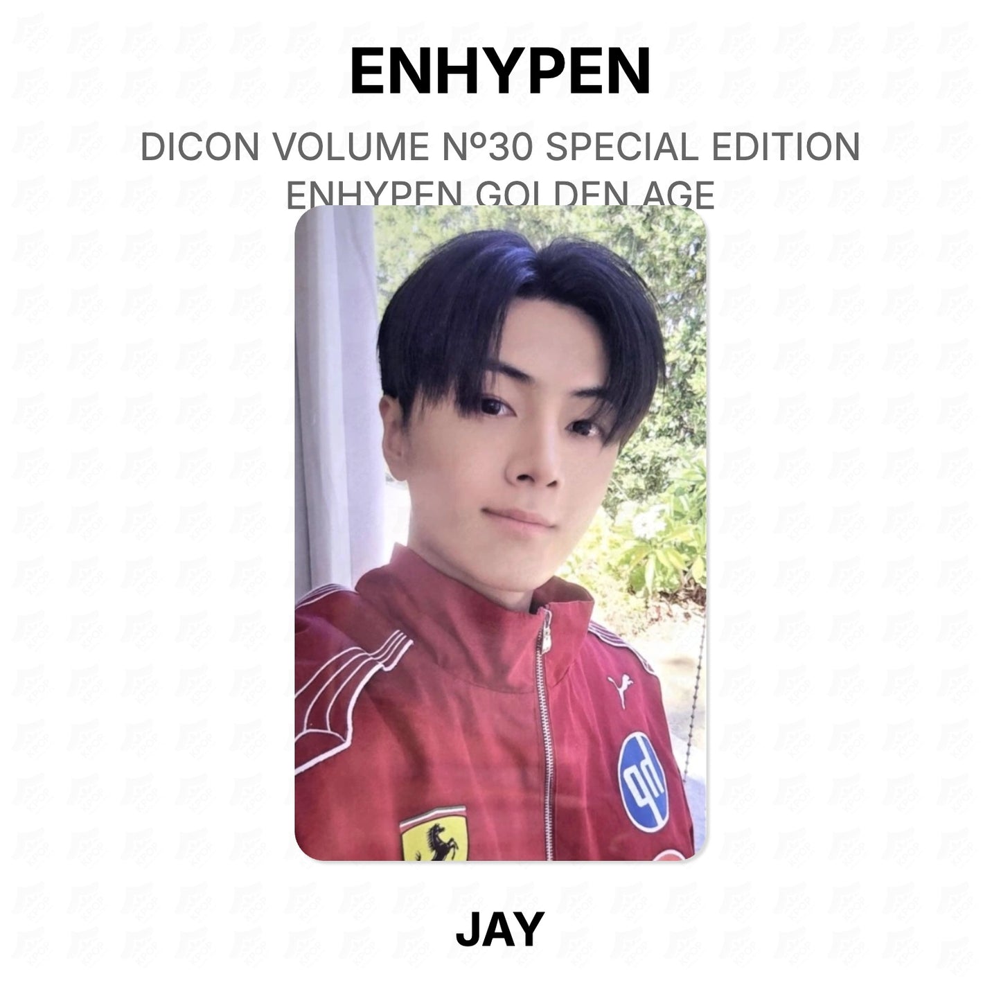 ENHYPEN DICON VOLUME Nº30 SPECIAL EDITION ENHYPEN GOLDEN AGE Offizielle Fotokarte