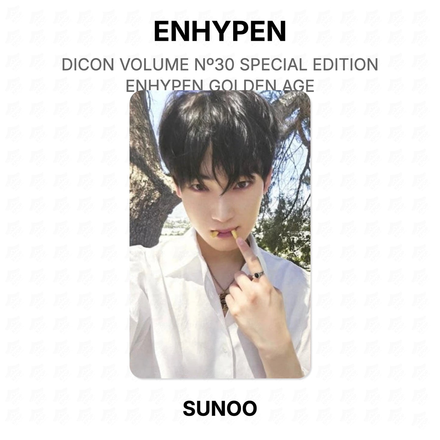 ENHYPEN DICON VOLUME Nº30 SPECIAL EDITION ENHYPEN GOLDEN AGE Offizielle Fotokarte