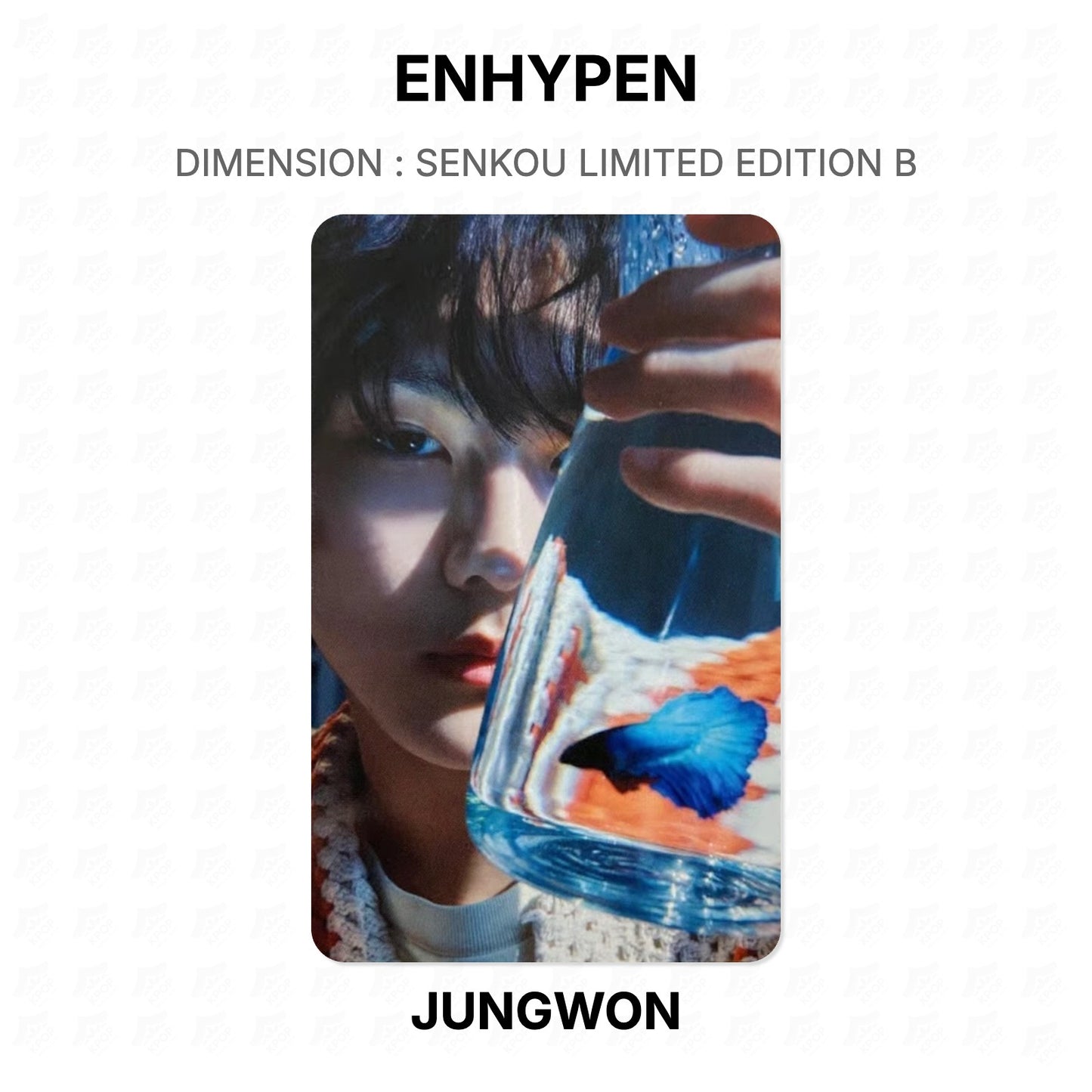 ENHYPEN DIMENSION : SENKOU LIMITED EDITION B Official Photocard