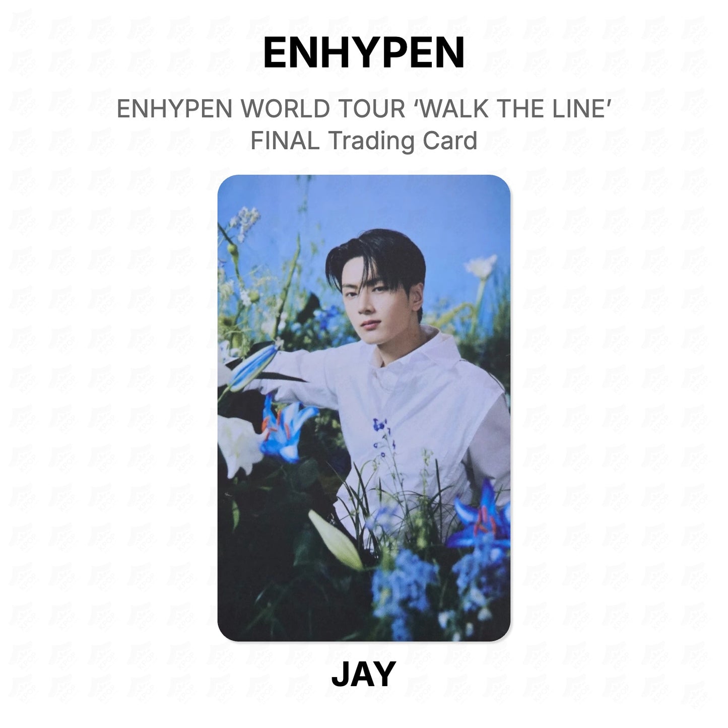 ENHYPEN WORLD TOUR ‘WALK THE LINE’ FINAL Trading Card Official Photocard