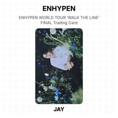 JAY 08