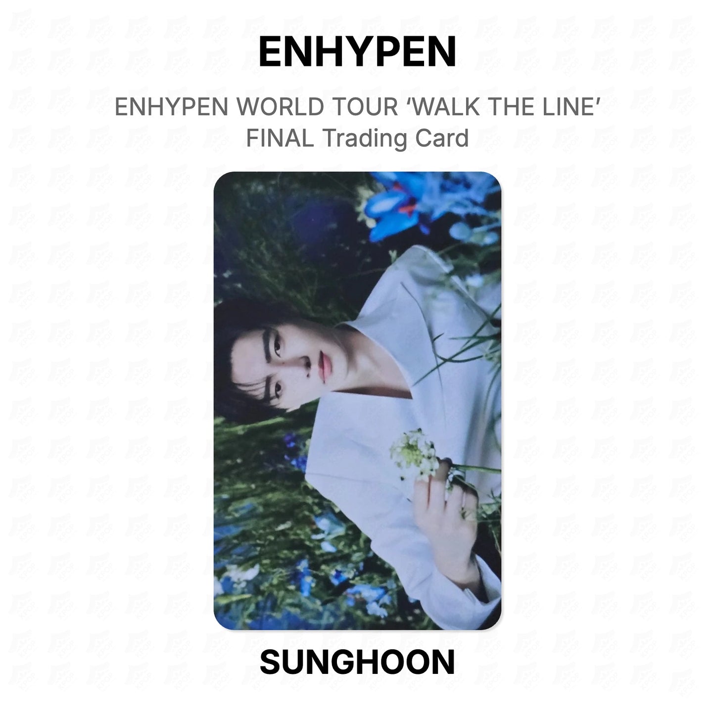 ENHYPEN WORLD TOUR ‘WALK THE LINE’ FINAL Trading Card Official Photocard