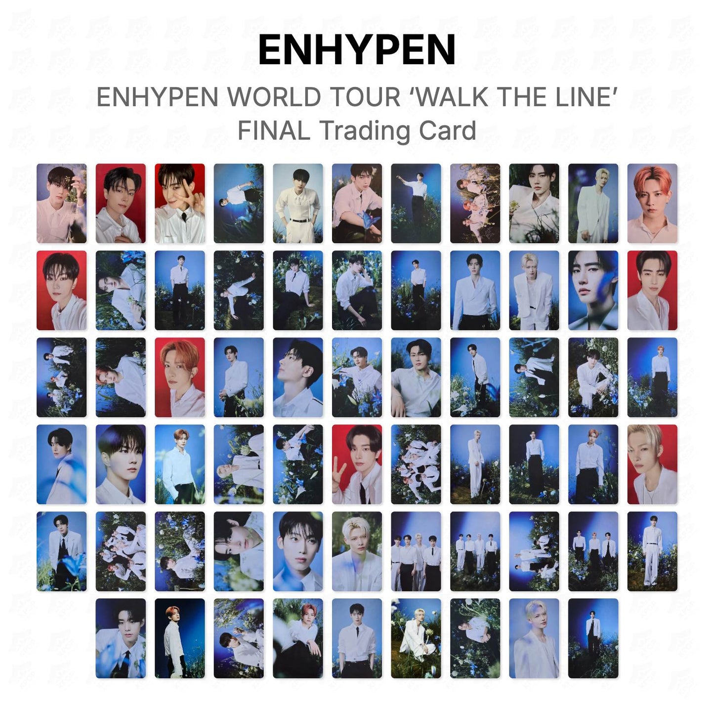 ENHYPEN WORLD TOUR ‘WALK THE LINE’ FINAL Trading Card Official Photocard