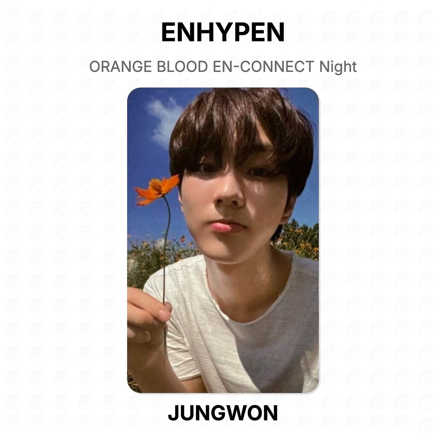 ENHYPEN ORANGE BLOOD EN-CONNECT Night Official Photocard