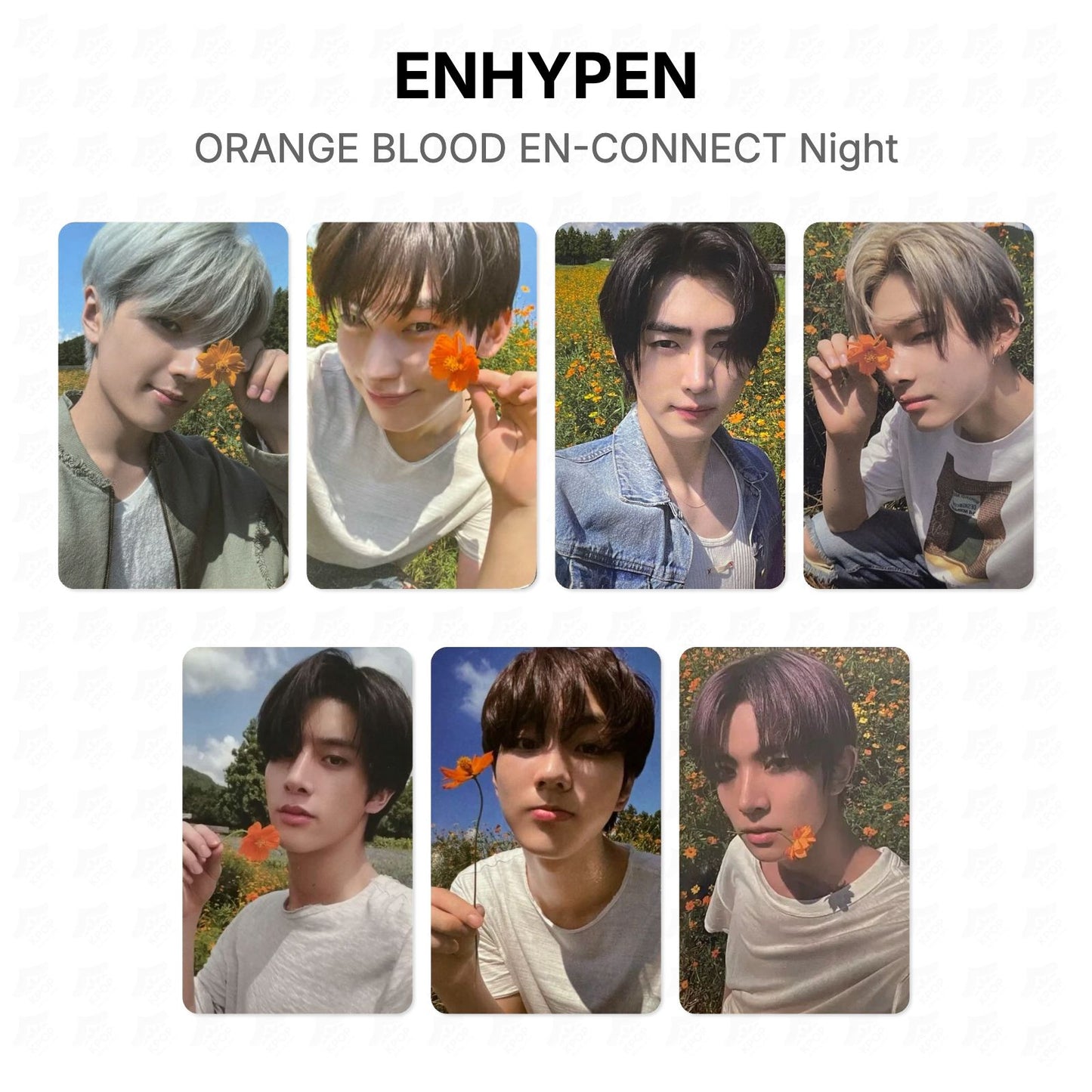 ENHYPEN ORANGE BLOOD EN-CONNECT Night Official Photocard