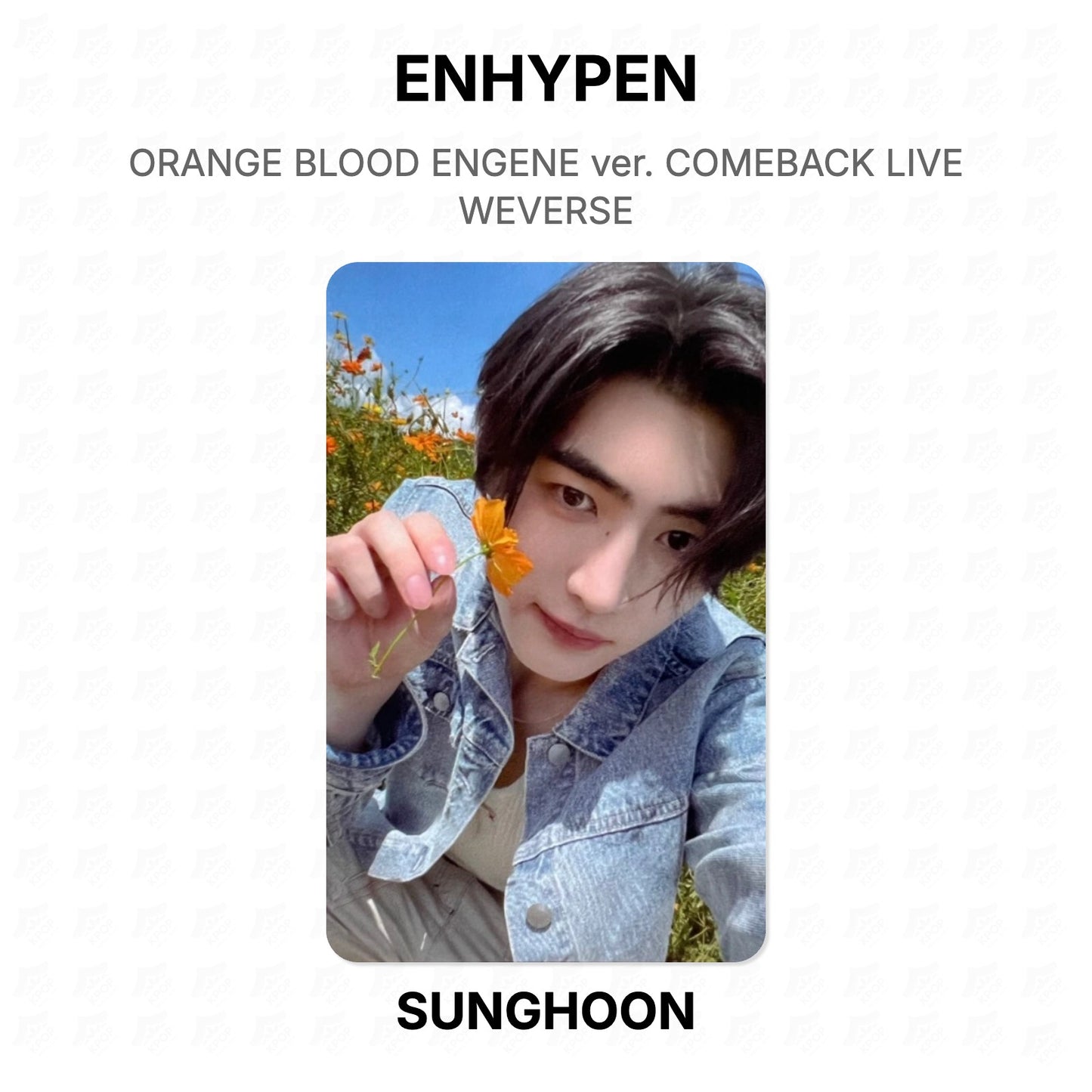 ENHYPEN ORANGE BLOOD ENGENE ver. COMEBACK LIVE WEVERSE Official Photocard