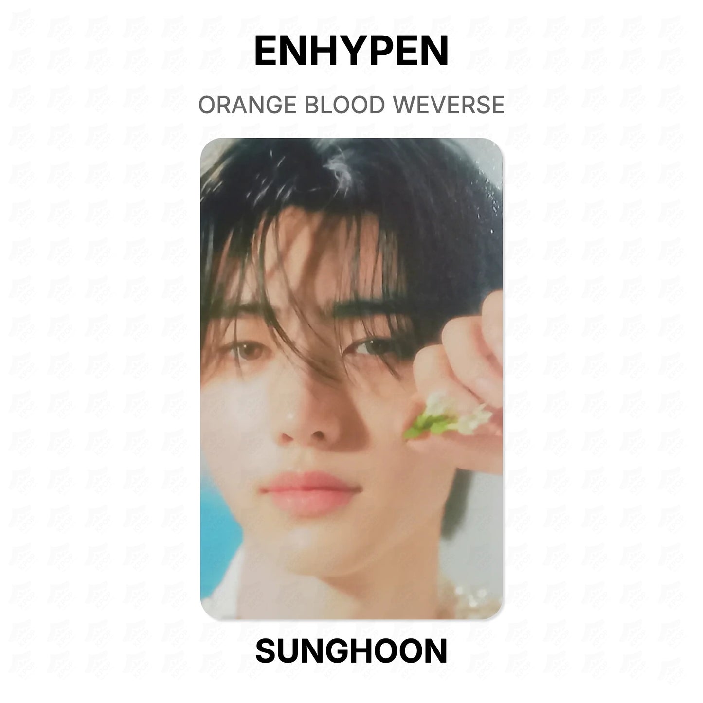 ENHYPEN ORANGE BLOOD WEVERSE Official Photocard