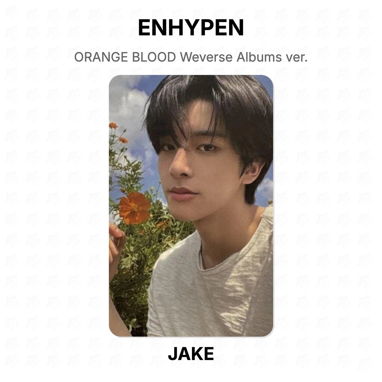 ENHYPEN ORANGE BLOOD Weverse Albums ver. Official Photocard