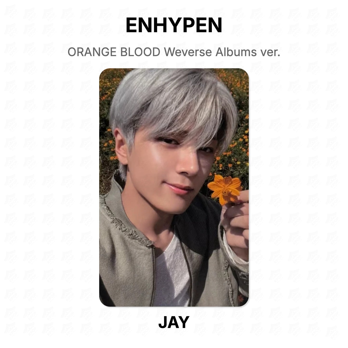 ENHYPEN ORANGE BLOOD Weverse Albums ver. Official Photocard