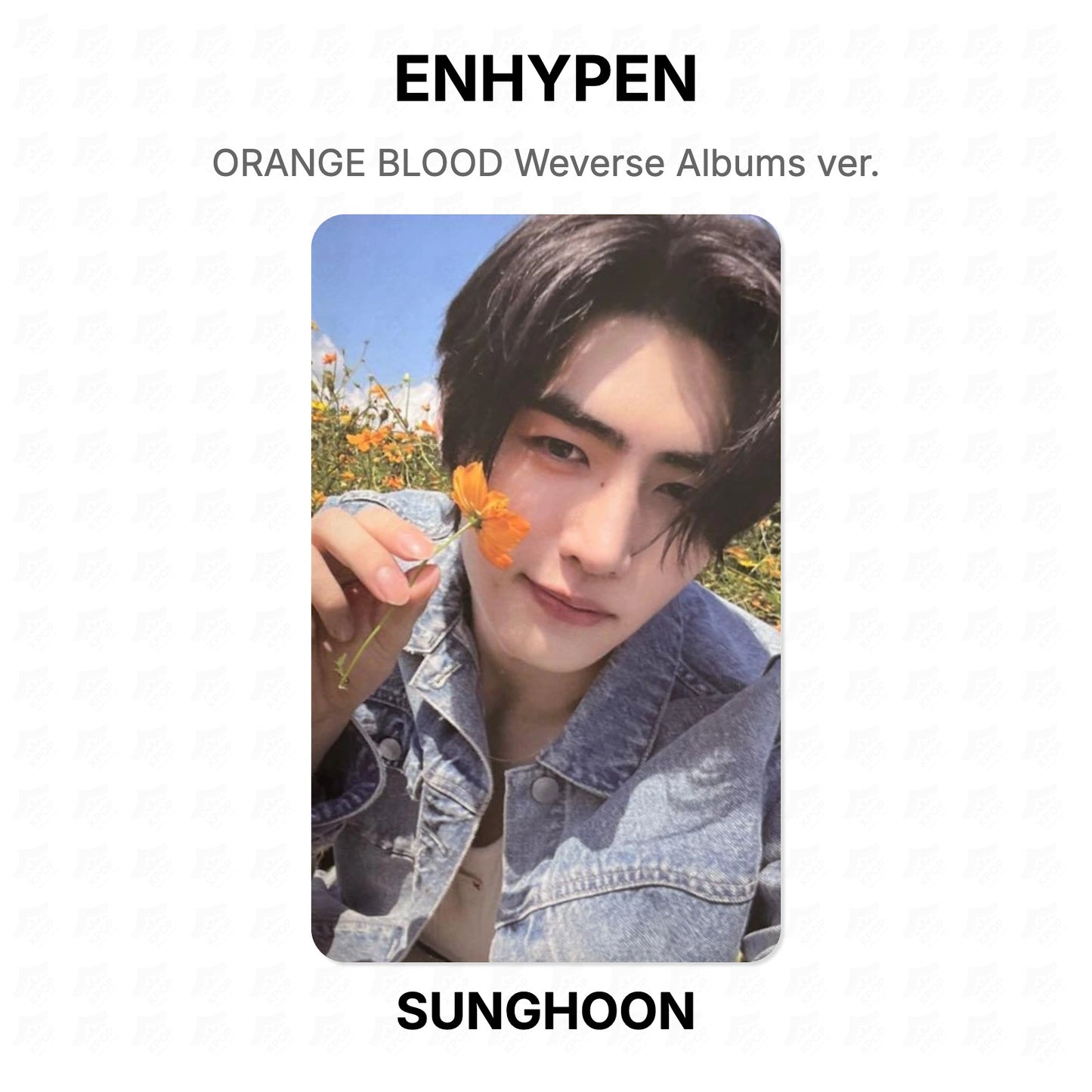 ENHYPEN ORANGE BLOOD Weverse Albums ver. Official Photocard