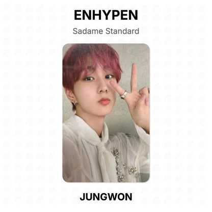 ENHYPEN Sadame Standard Official Photocard