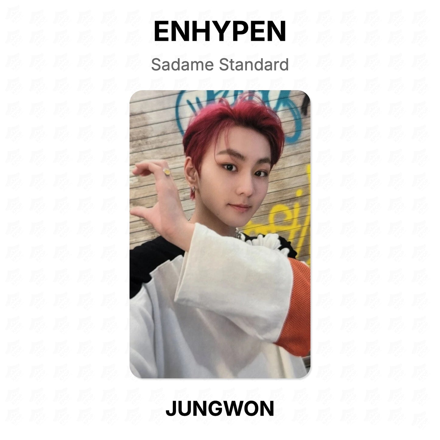 ENHYPEN Sadame Standard Official Photocard