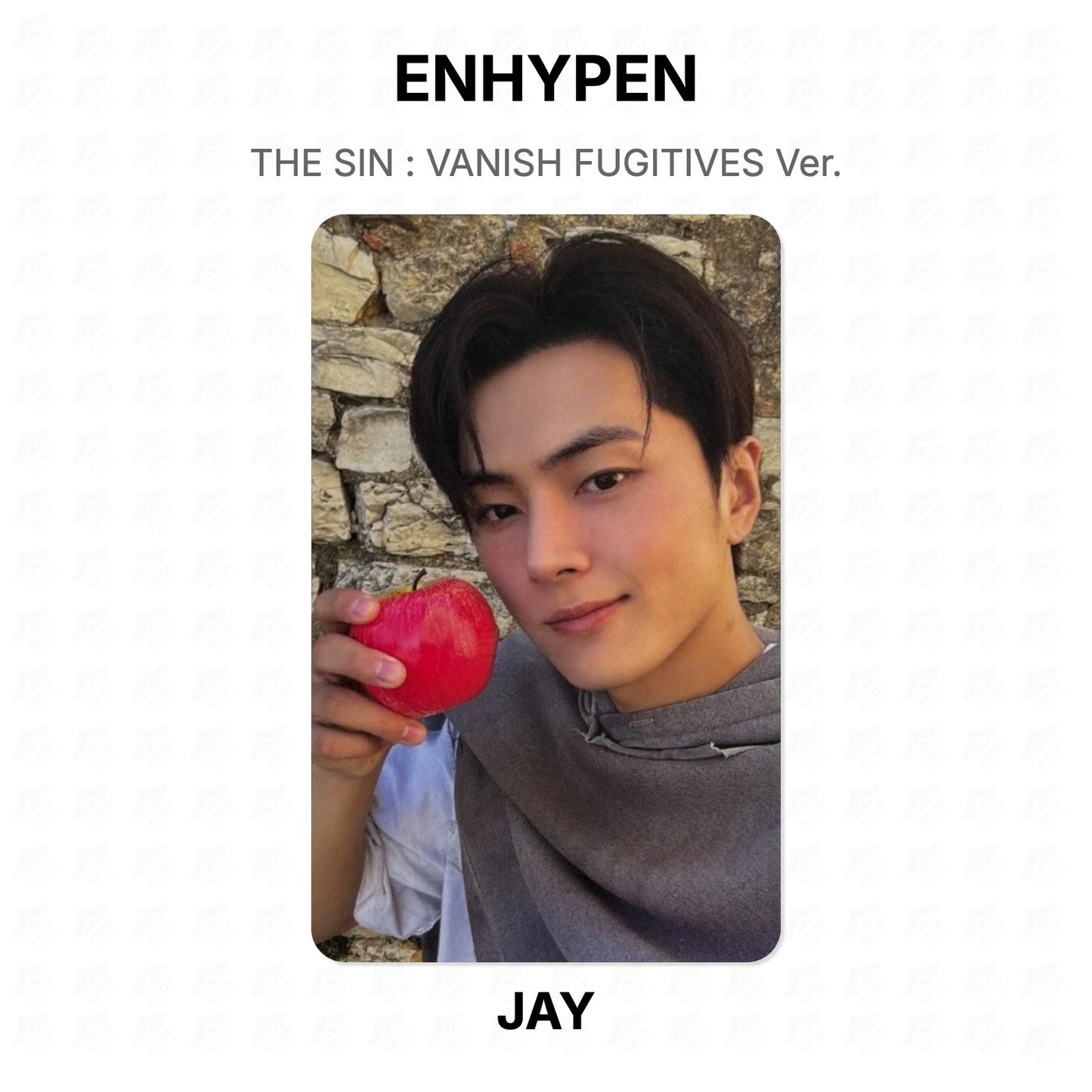 ENHYPEN THE SIN : VANISH FUGITIVES Ver. Official Photocard