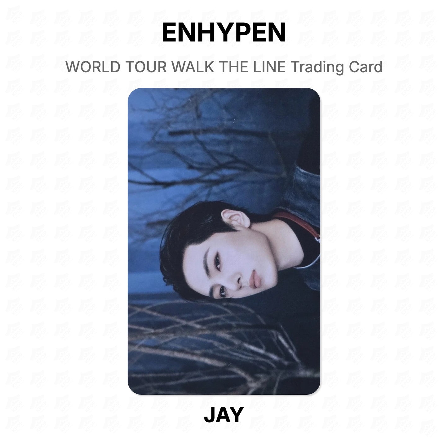 ENHYPEN WORLD TOUR WALK THE LINE Trading Card Official Photocard