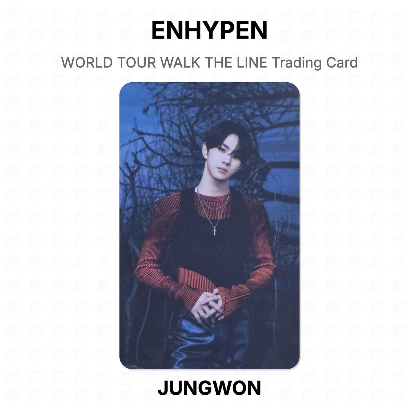 ENHYPEN WORLD TOUR WALK THE LINE Trading Card Official Photocard