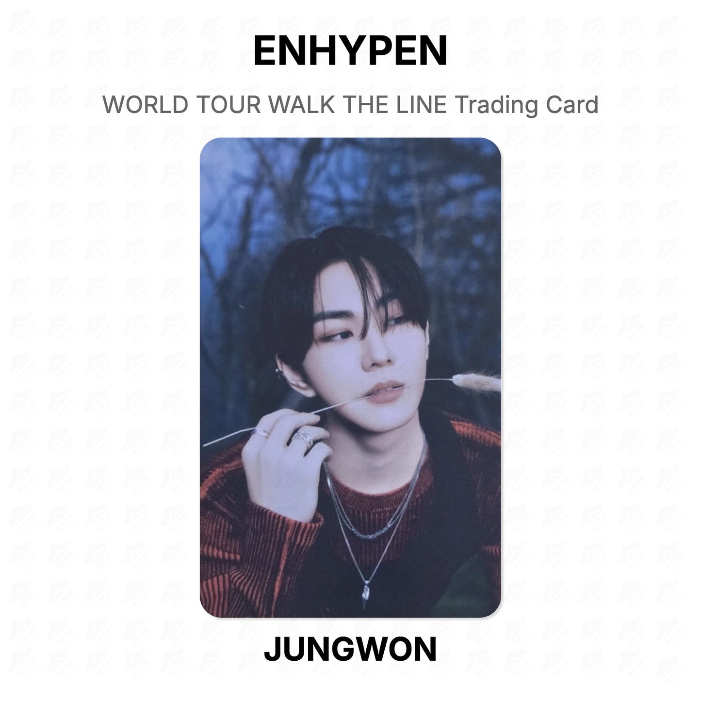 ENHYPEN WORLD TOUR WALK THE LINE Trading Card Official Photocard