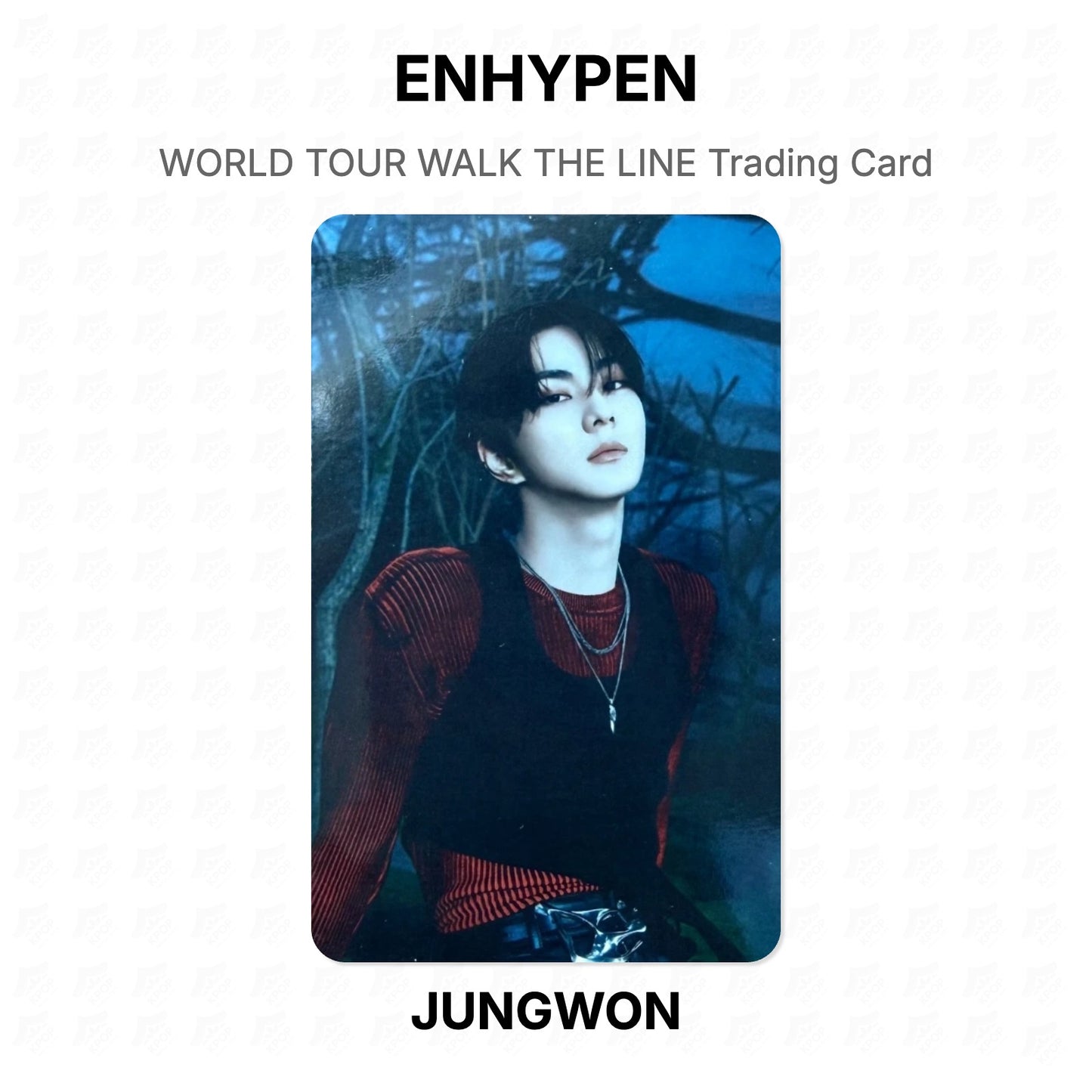 ENHYPEN WORLD TOUR WALK THE LINE Trading Card Official Photocard