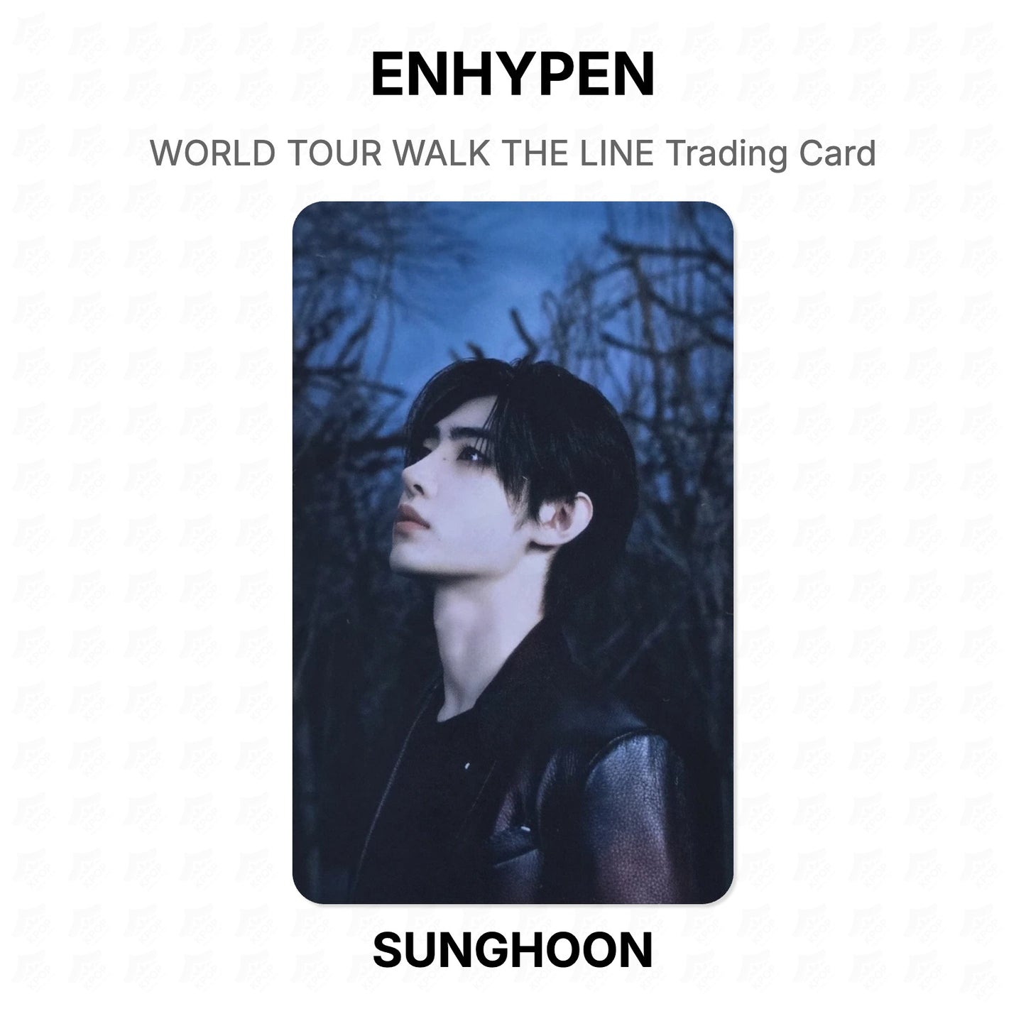 ENHYPEN WORLD TOUR WALK THE LINE Trading Card Official Photocard