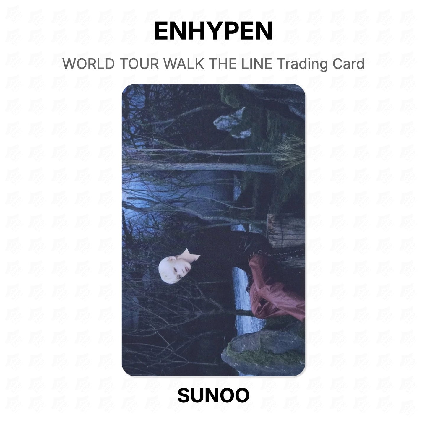ENHYPEN WORLD TOUR WALK THE LINE Trading Card Official Photocard