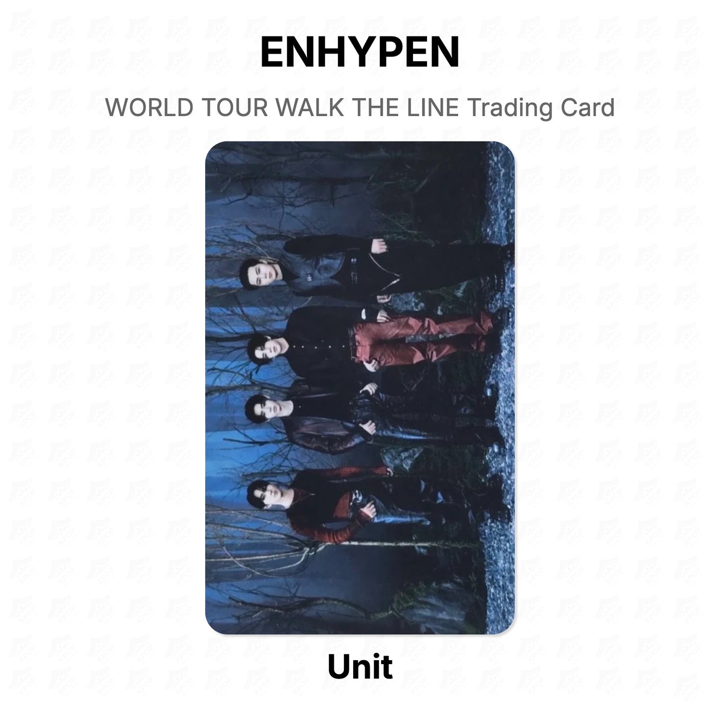 ENHYPEN WORLD TOUR WALK THE LINE Trading Card Official Photocard