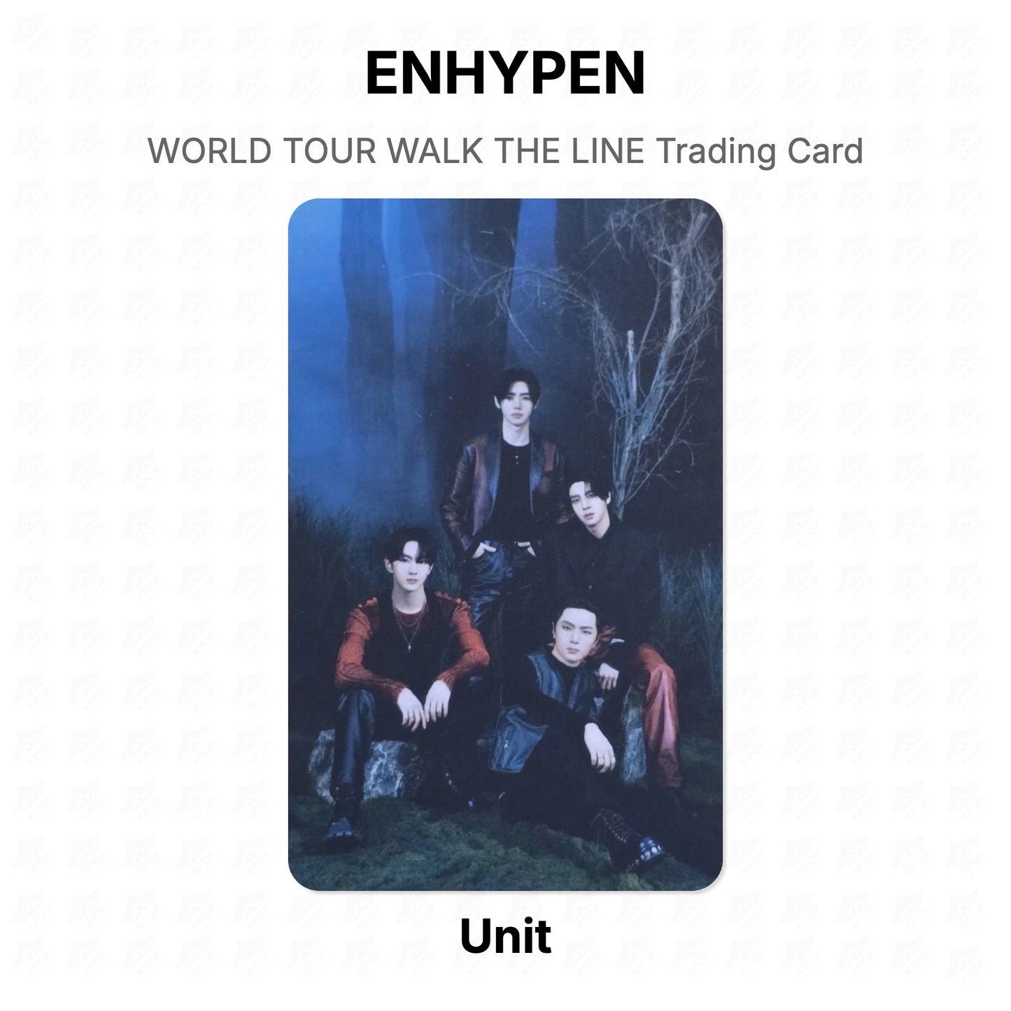 ENHYPEN WORLD TOUR WALK THE LINE Trading Card Official Photocard