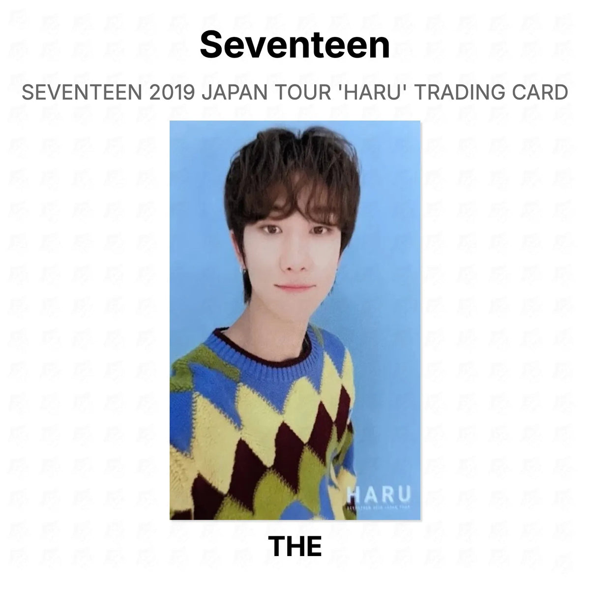 Seventeen 2019 JAPAN TOUR 'HARU' TRADING CARD Official Photocard