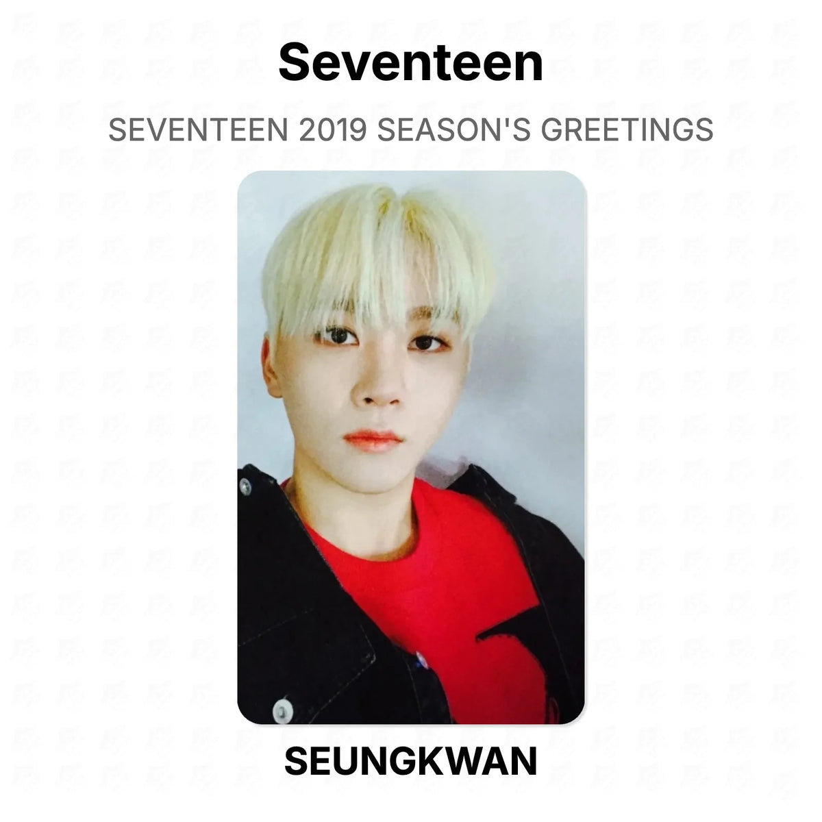 Seventeen 2019 SEASON'S GREETINGS Official Photocard