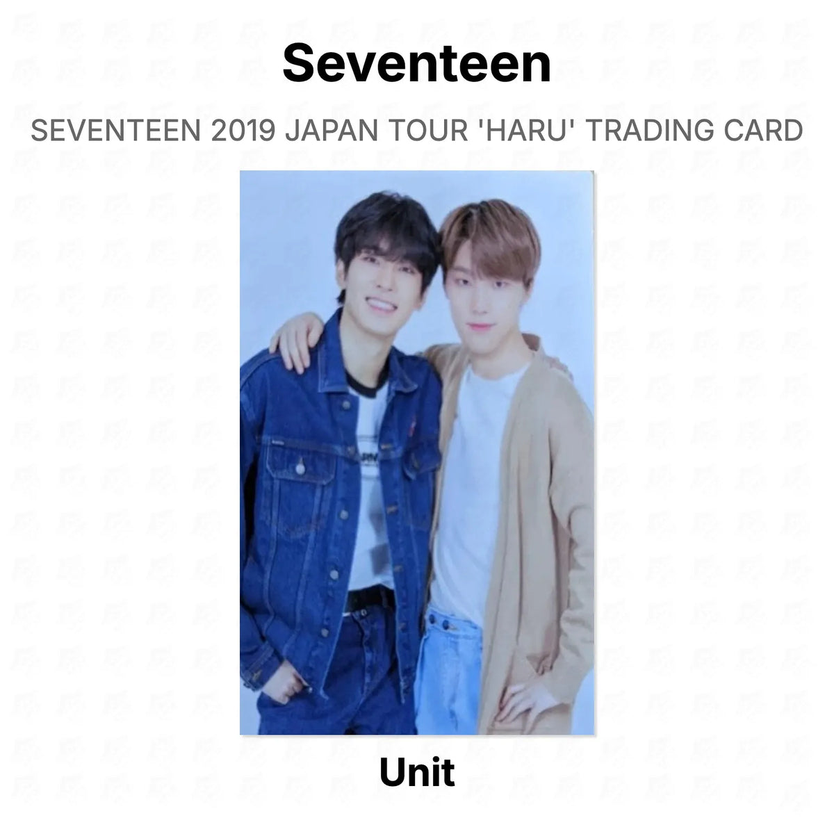Seventeen 2019 JAPAN TOUR 'HARU' TRADING CARD Official Photocard