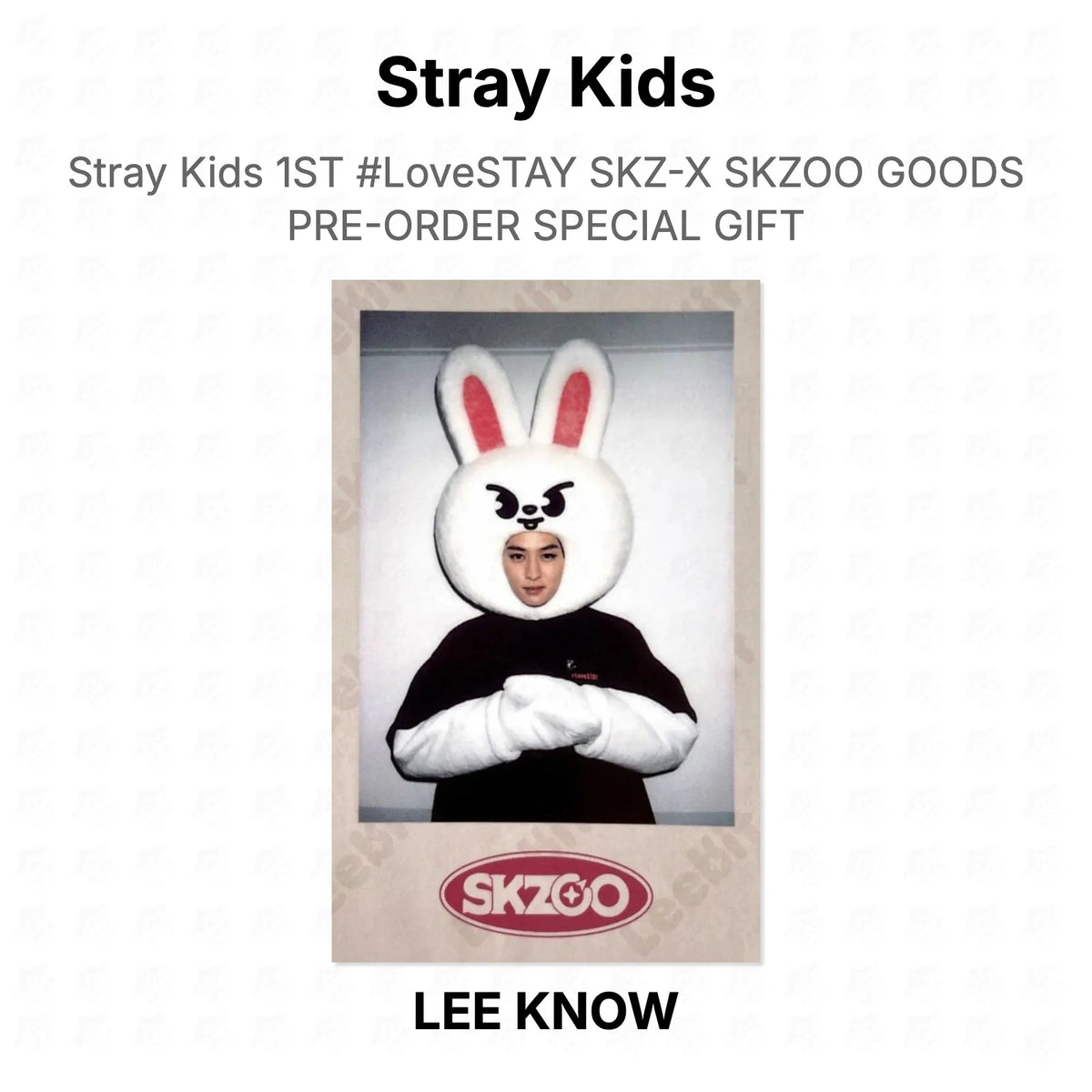 Stray Kids 1ST #LoveSTAY SKZ-X SKZOO GOODS PRE-ORDER SPECIAL GIFT Official Photocard