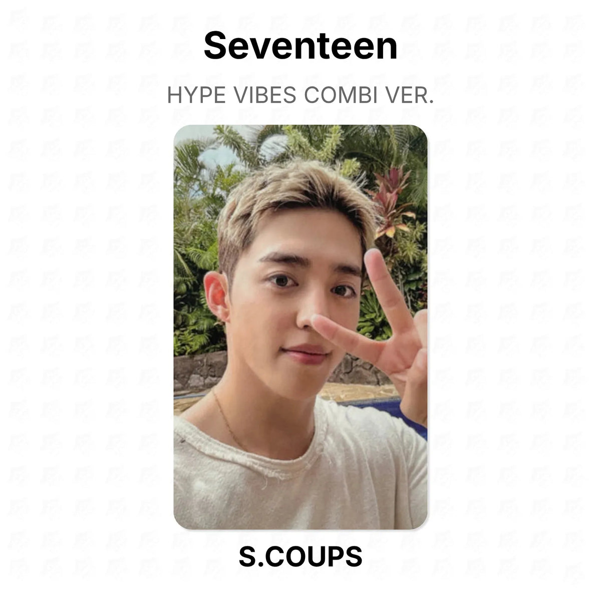Seventeen HYPE VIBES COMBI VER. Official Photocard