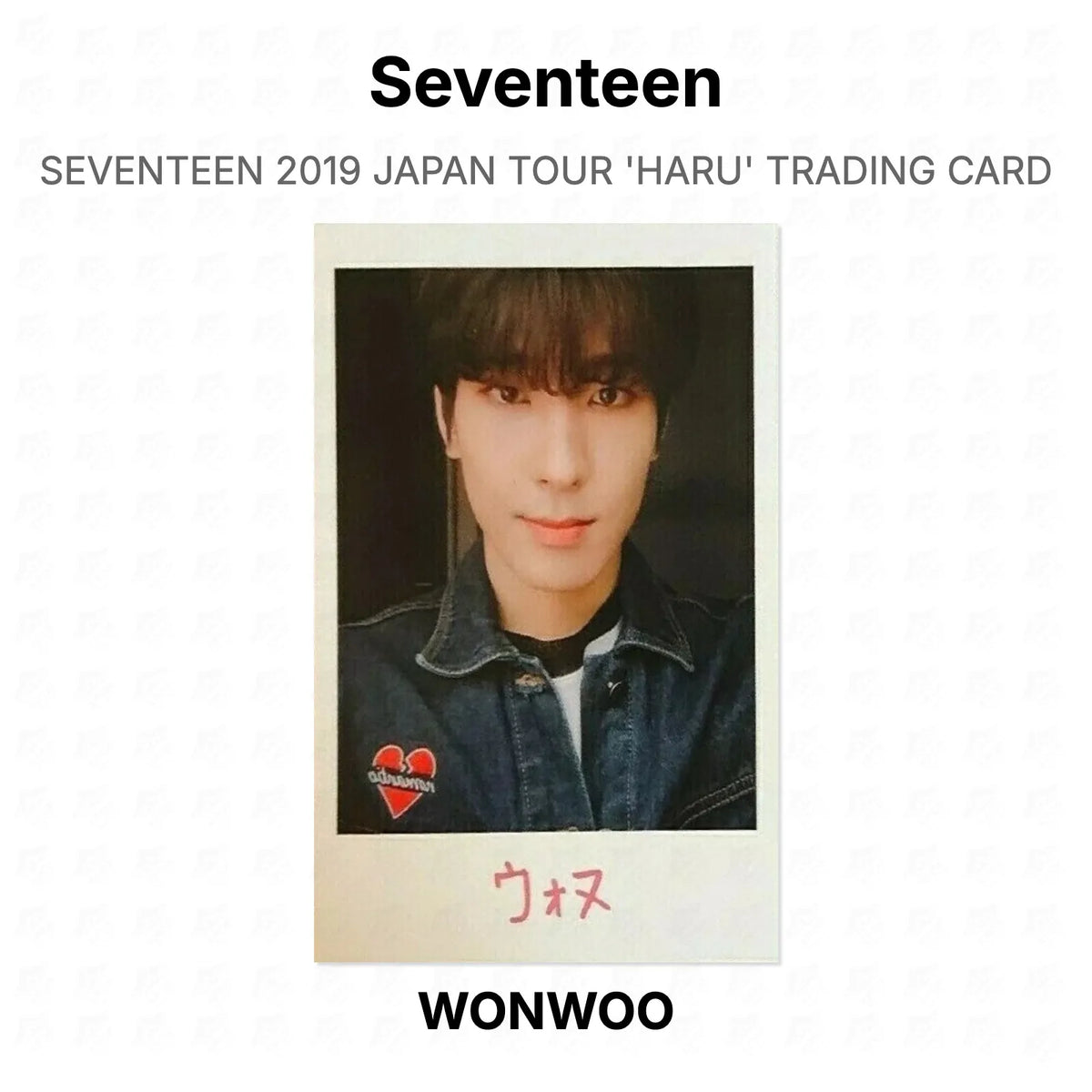 Seventeen 2019 JAPAN TOUR 'HARU' TRADING CARD Official Photocard