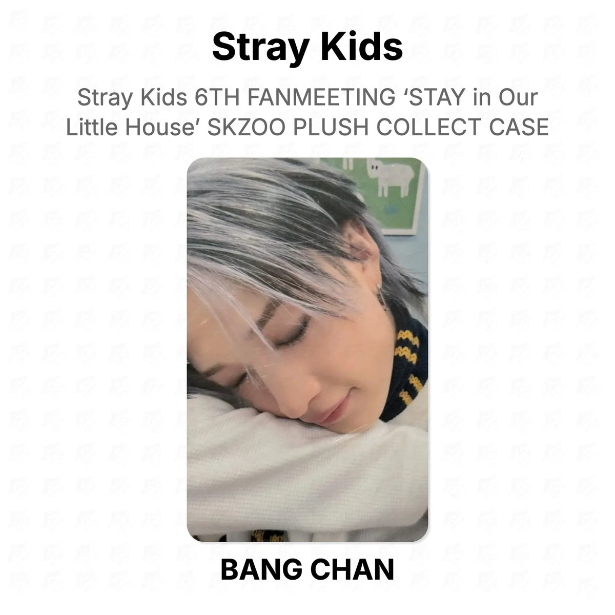 Stray Kids 6TH FANMEETING ‘STAY in Our Little House’ SKZOO PLUSH COLLECT CASE Official Photocard