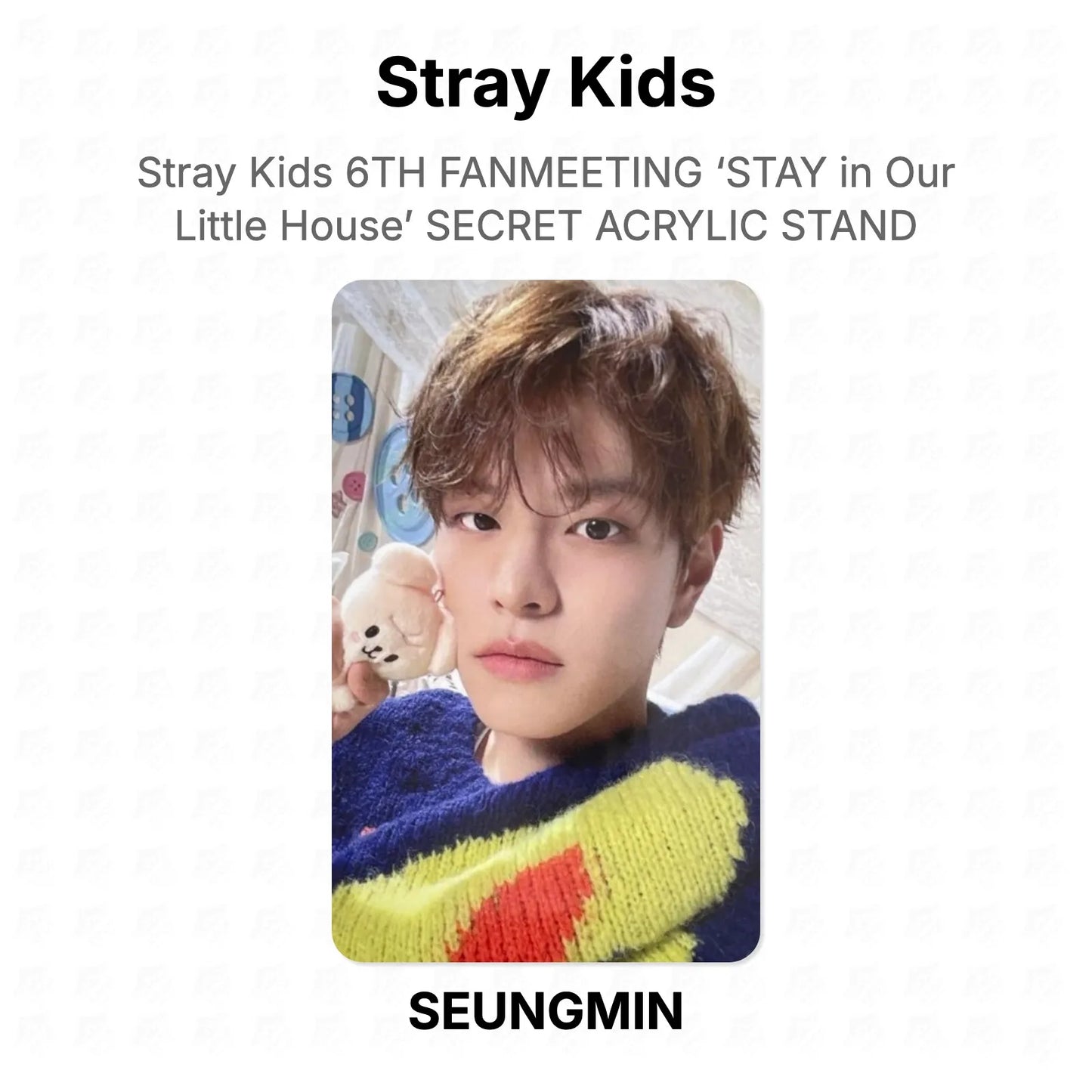 Stray Kids 6TH FANMEETING ‘STAY in Our Little House’ SECRET ACRYLIC STAND Official Photocard