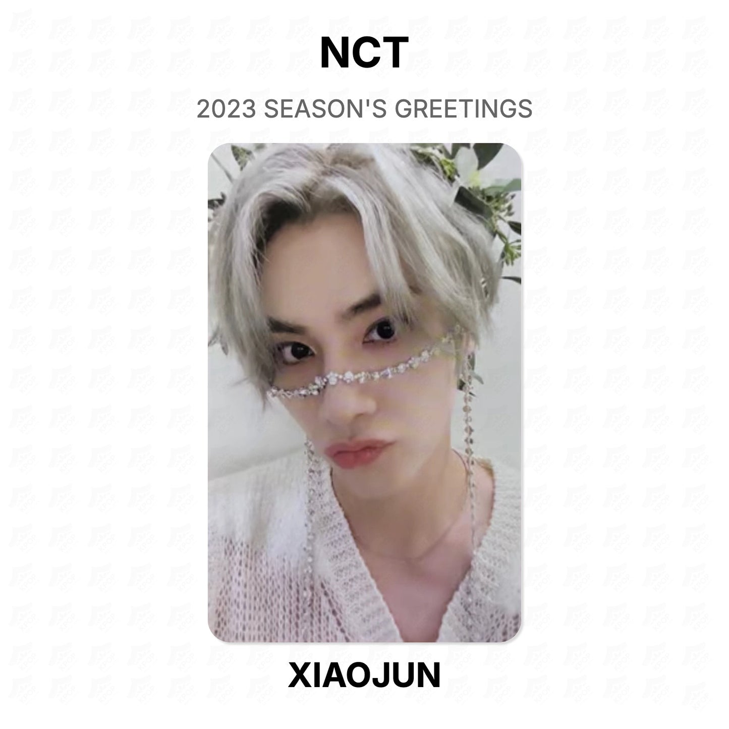 NCT 2023 SEASON'S GREETINGS Official Photocard