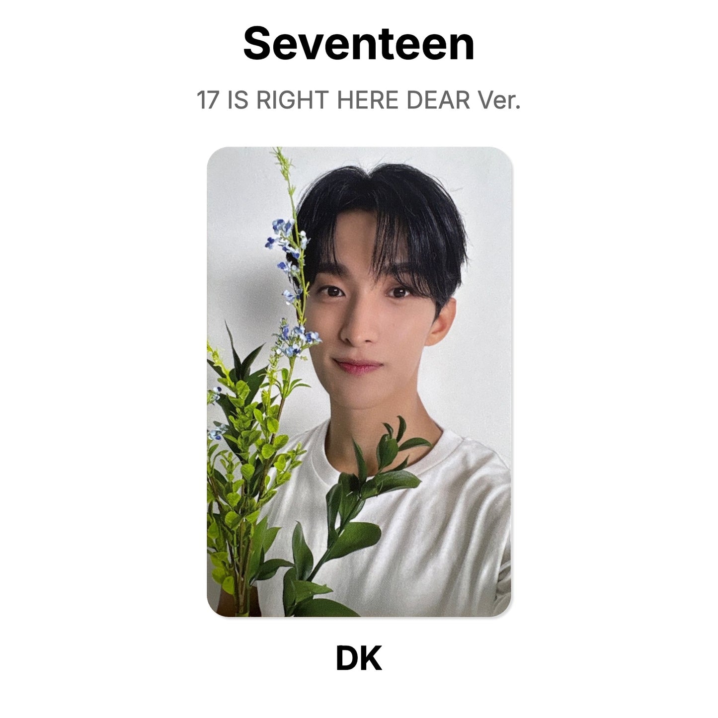 Seventeen 17 IS RIGHT HERE DEAR Ver. Official Photocard