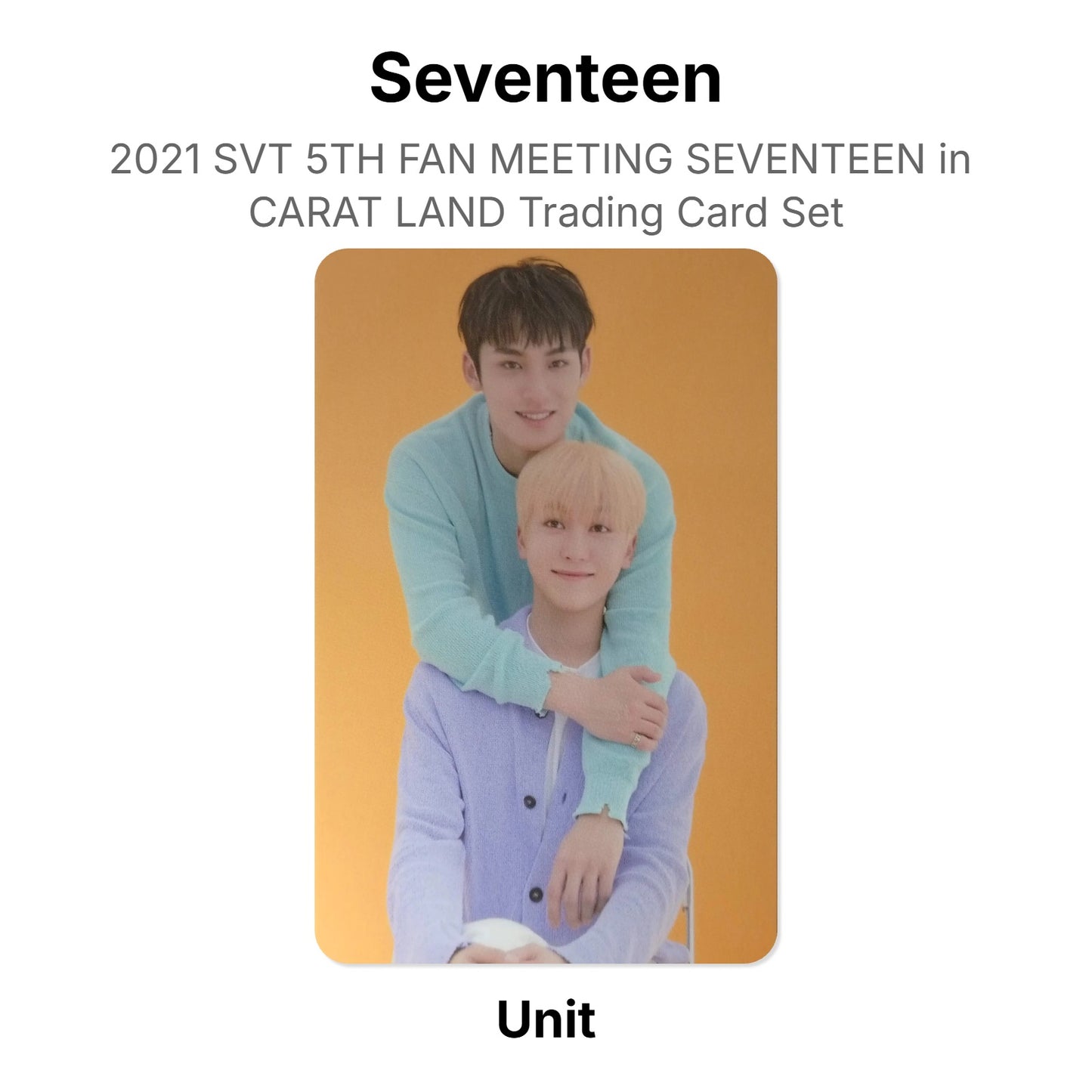 Seventeen 2021 SVT 5TH FAN MEETING SEVENTEEN in CARAT LAND Trading Card Set Official Photocard