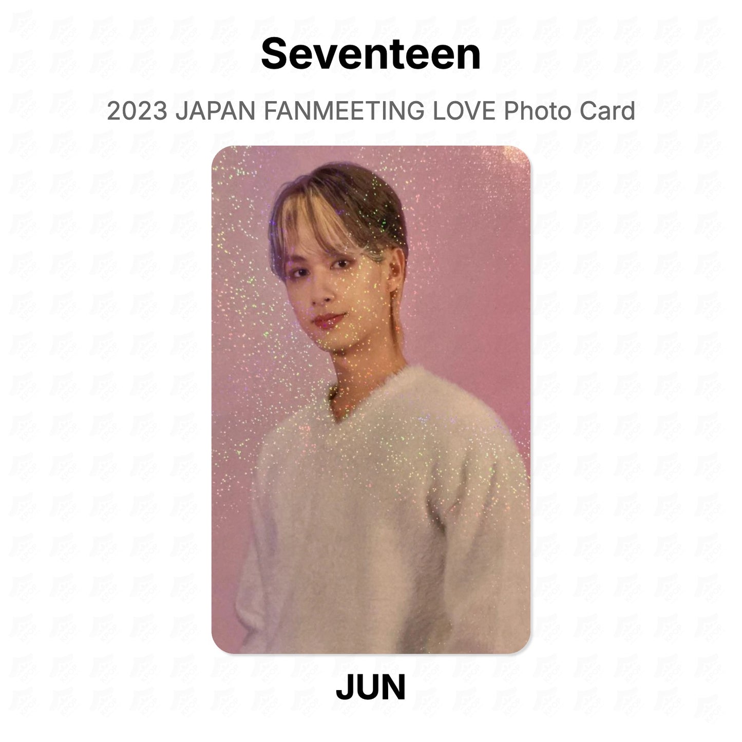 Seventeen 2023 JAPAN FANMEETING LOVE Photo Card Official Photocard
