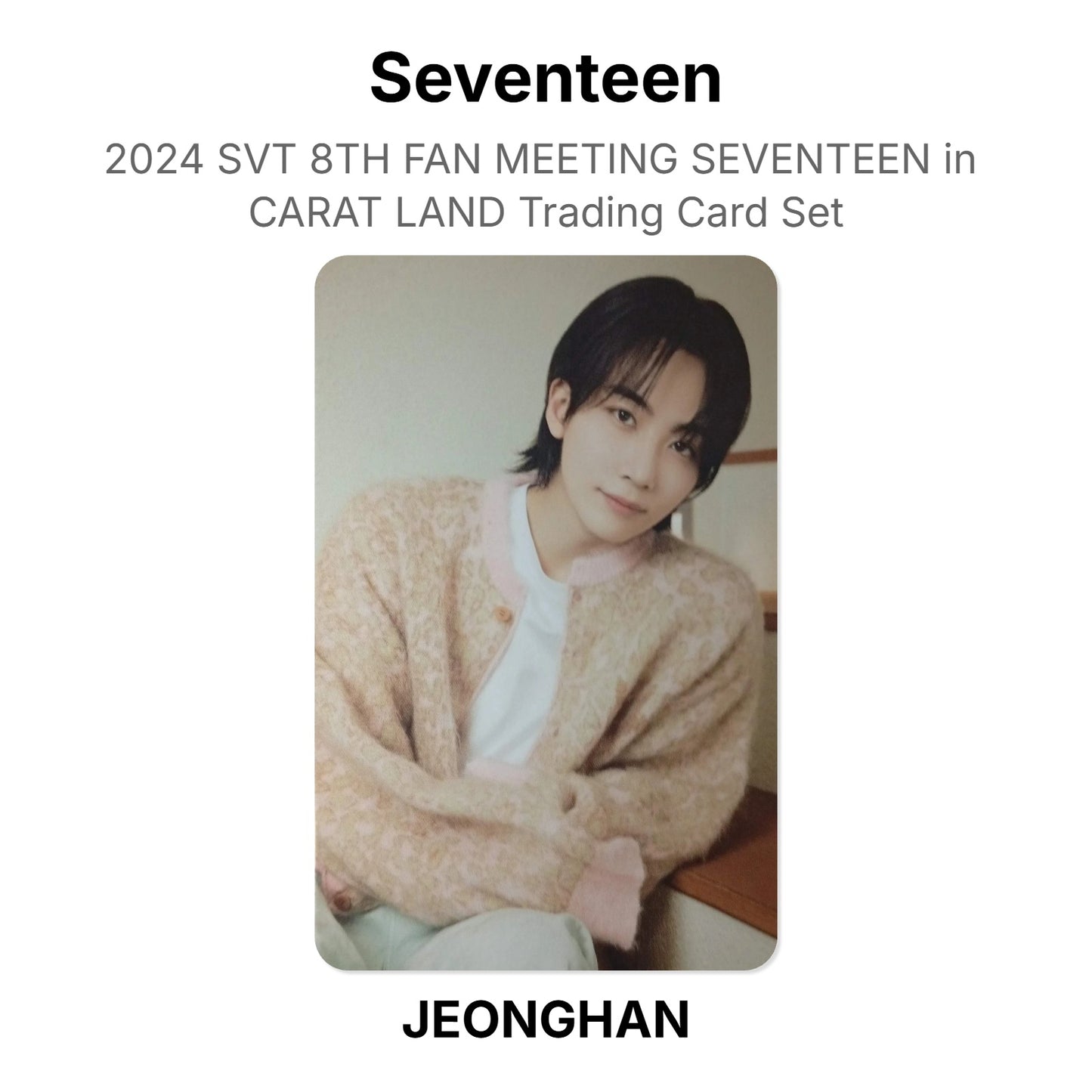 Seventeen 2024 SVT 8TH FAN MEETING SEVENTEEN in CARAT LAND Trading Card Set Official Photocard
