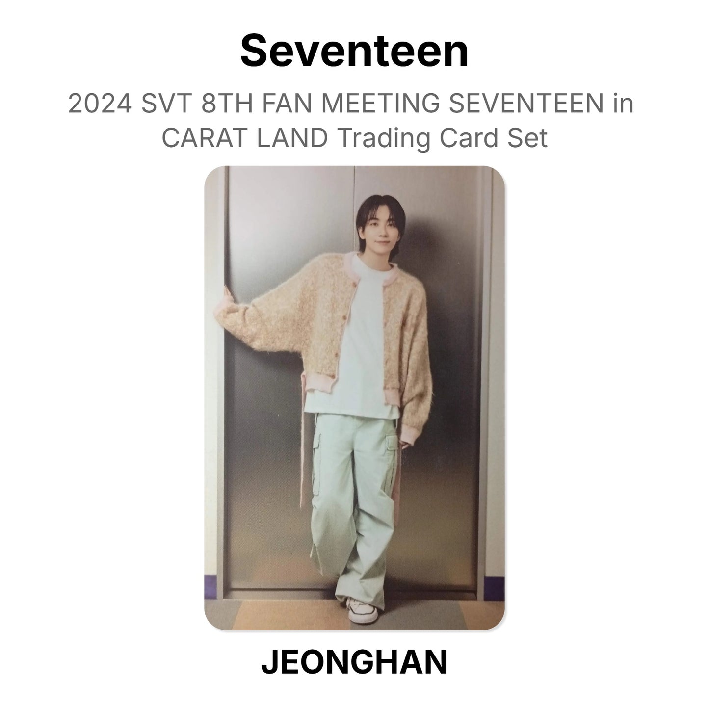 Seventeen 2024 SVT 8TH FAN MEETING SEVENTEEN in CARAT LAND Trading Card Set Official Photocard