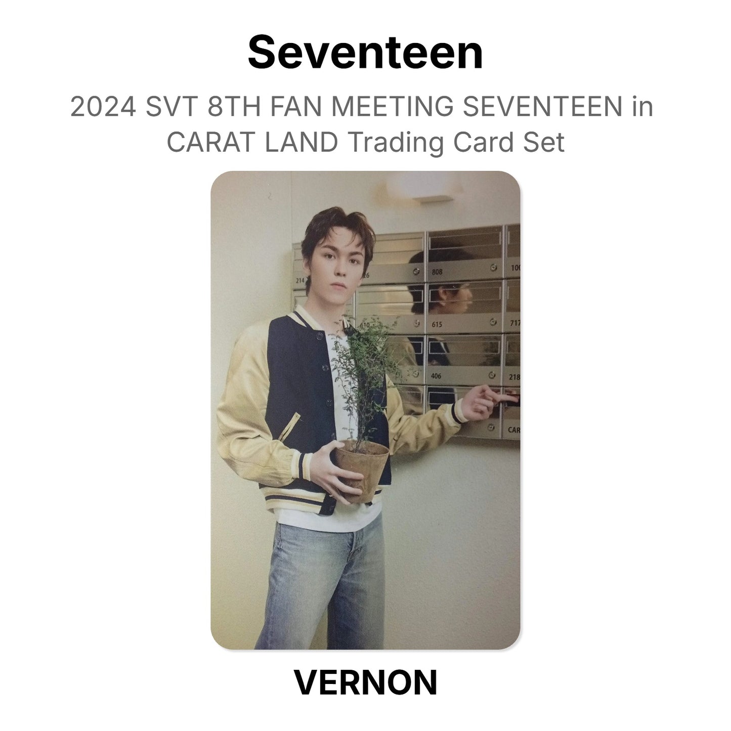 Seventeen 2024 SVT 8TH FAN MEETING SEVENTEEN in CARAT LAND Trading Card Set Official Photocard