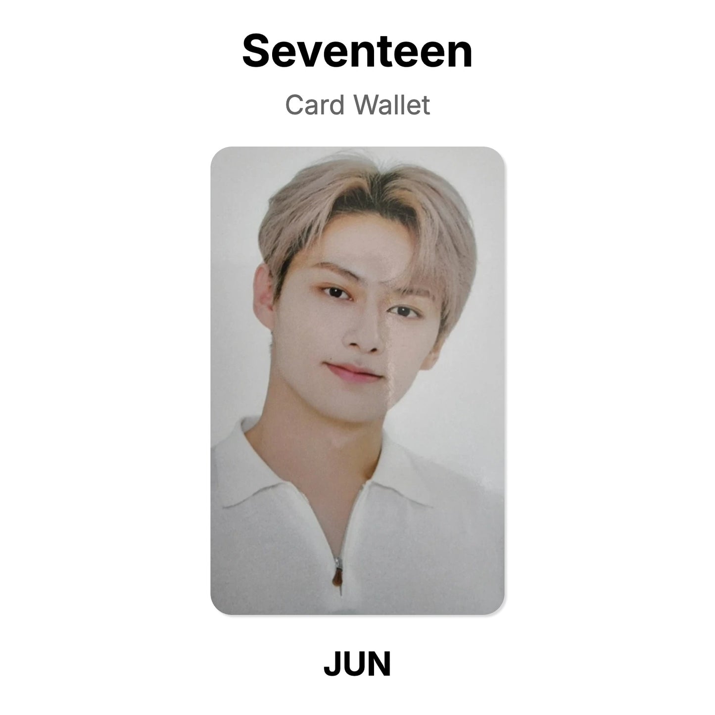 Seventeen Kartenetui Offizielles Fotokarte