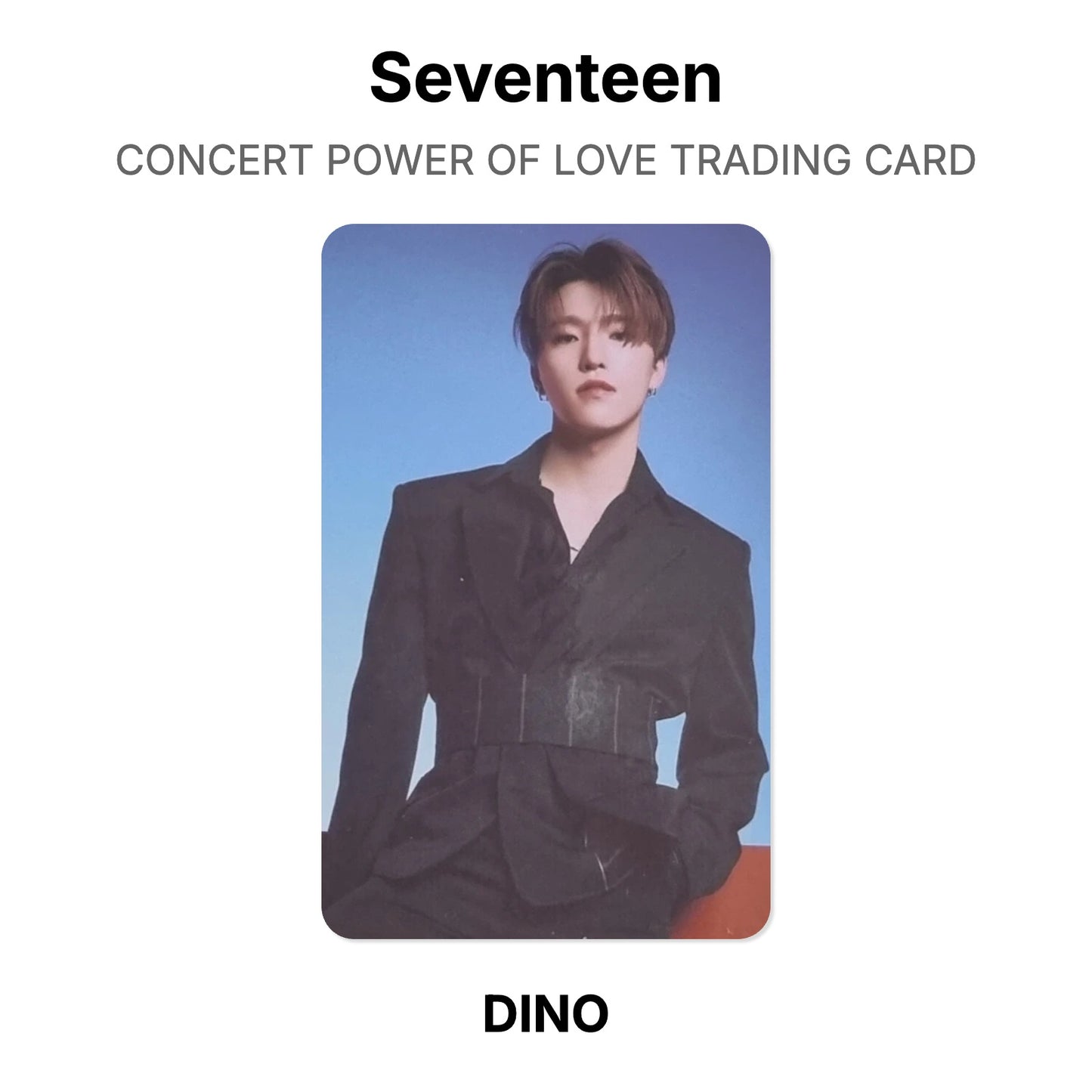 Seventeen CONCERT POWER OF LOVE TRADING CARD Official Photocard