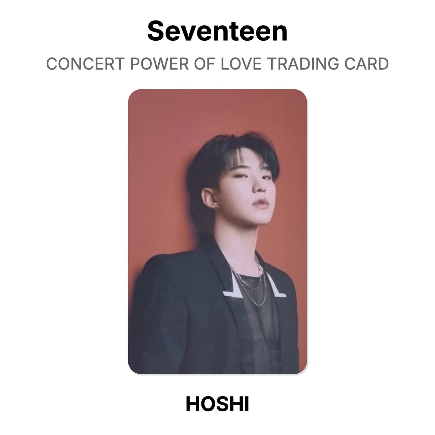 Seventeen CONCERT POWER OF LOVE TRADING CARD Official Photocard