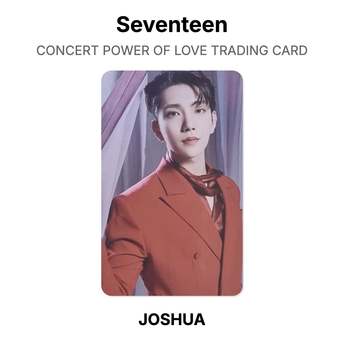 Seventeen CONCERT POWER OF LOVE TRADING CARD Official Photocard